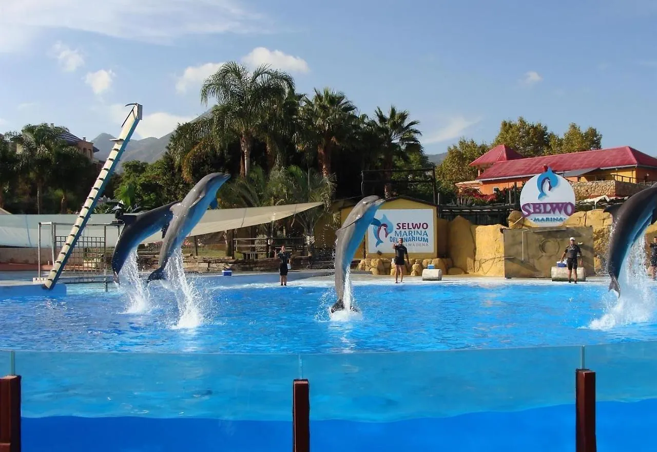 Family Friendly Patio And Poolview Apartment Torremolinos 0*,